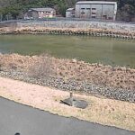 三篠川 左岸 1.2kmのライブカメラ|広島県広島市のサムネイル