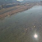 三篠川 左岸 1.7kmのライブカメラ|広島県広島市のサムネイル