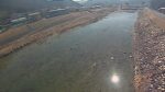 三篠川 左岸 1.7kmのライブカメラ|広島県広島市のサムネイル