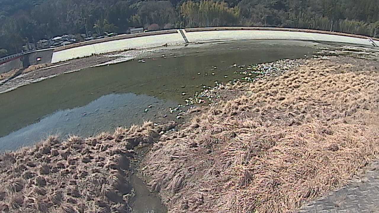 三篠川 右岸 4.8kmのライブカメラ|広島県広島市のサムネイル