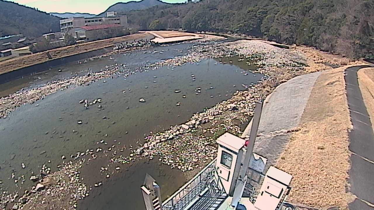 三篠川 右岸 7.65kmのライブカメラ|広島県広島市のサムネイル