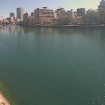 元安川 右岸 1.5kmのライブカメラ|広島県広島市のサムネイル