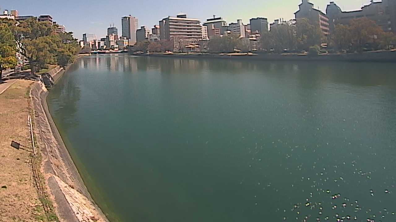元安川 右岸 1.5kmのライブカメラ|広島県広島市のサムネイル