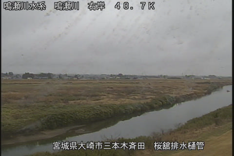 鳴瀬川 桜舘排水樋管 40.7km右岸のライブカメラ|宮城県大崎市のサムネイル