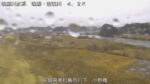 鳴瀬川 小野橋 4.2kmのライブカメラ|宮城県東松島市のサムネイル