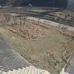 根谷川 右岸 1.25kmのライブカメラ|広島県広島市のサムネイル