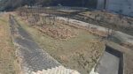 根谷川 右岸 1.25kmのライブカメラ|広島県広島市のサムネイル