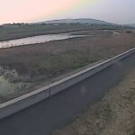 小鴨川 右岸 4k600のライブカメラ|鳥取県倉吉市のサムネイル