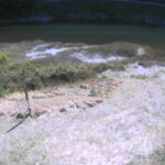 太田川 左岸 32.4kmのライブカメラ|広島県広島市のサムネイル