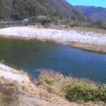 太田川 左岸 44.6kmのライブカメラ|広島県広島市のサムネイル