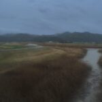 六角川 21k430L玉江排水樋管のライブカメラ|佐賀県大町町のサムネイル