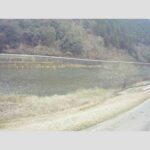 西城川 左岸 檜原1.2kのライブカメラ|広島県三次市のサムネイル