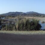 川内川 21k200庄込第一樋門のライブカメラ|鹿児島県薩摩川内市のサムネイル