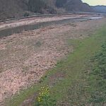 千代川 左岸 19kmのライブカメラ|鳥取県鳥取市のサムネイル