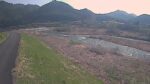 千代川 左岸 22.2kmのライブカメラ|鳥取県鳥取市のサムネイル