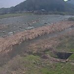 千代川 左岸 23.8kmのライブカメラ|鳥取県鳥取市のサムネイル