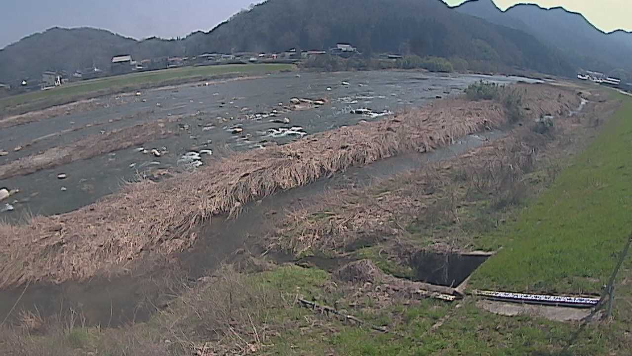 千代川 左岸 23.8kmのライブカメラ|鳥取県鳥取市のサムネイル