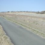 重信川 左岸10k6松山市河原排水樋管のライブカメラ|愛媛県松山市のサムネイル