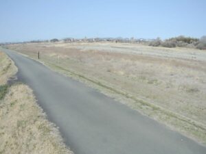 愛媛県松山市 重信川 左岸10k6松山市河原排水樋管のライブカメラ