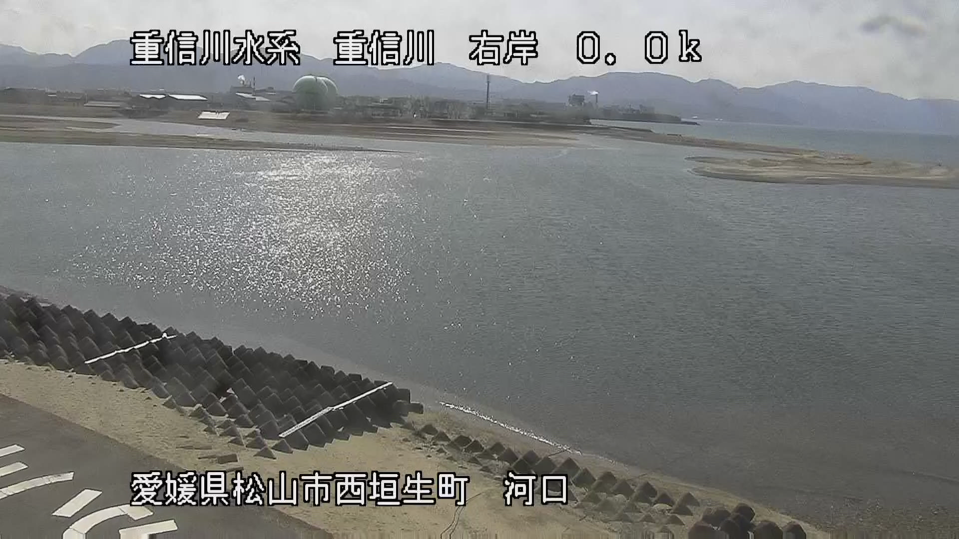 重信川 右岸0k0 松山市 河口のライブカメラ|愛媛県松山市のサムネイル