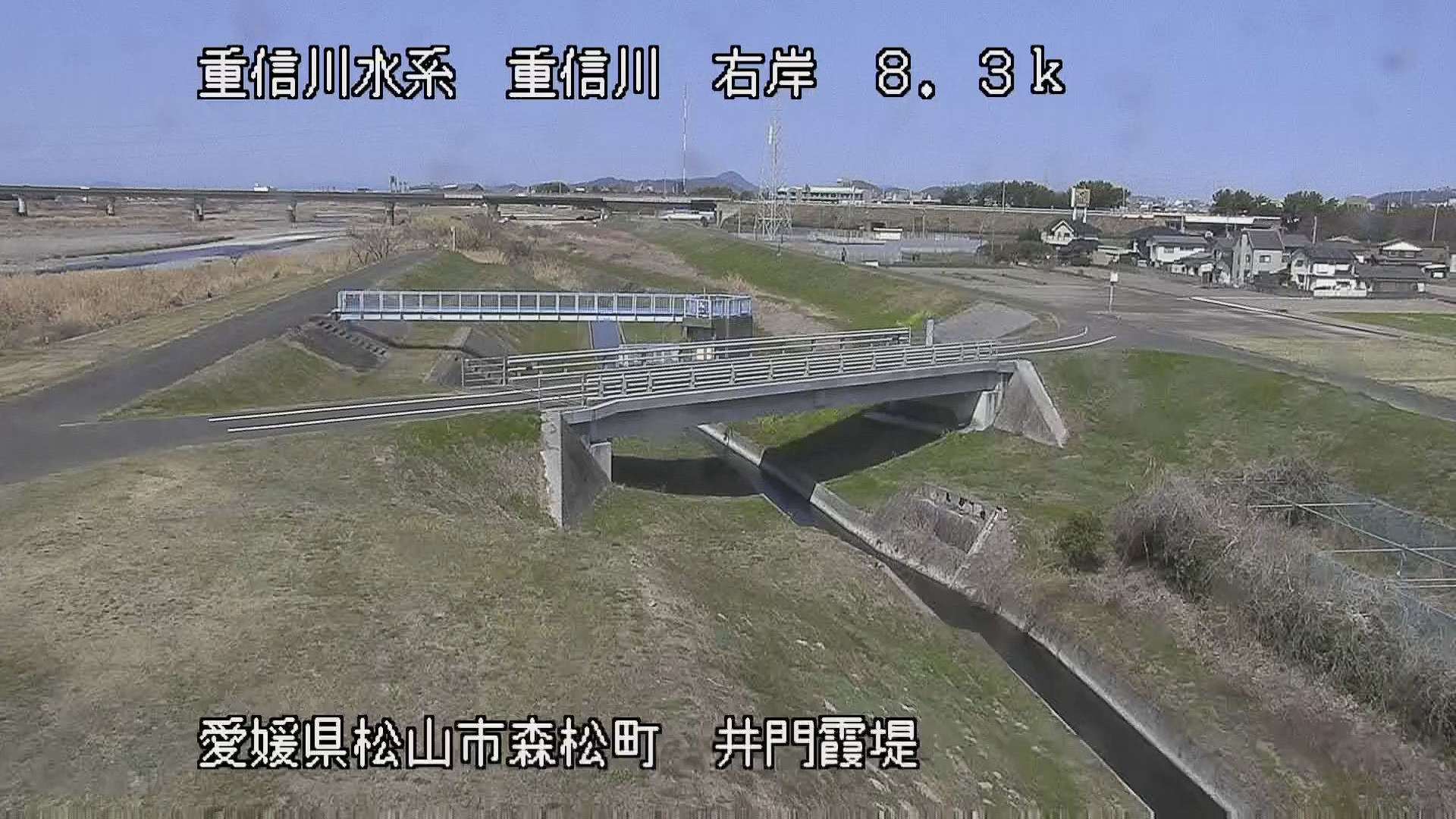重信川 右岸8k3松山市 井門霞堤のライブカメラ|愛媛県松山市のサムネイル
