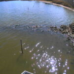 宍道湖 右岸 来待水位観測所13k150のライブカメラ|島根県松江市のサムネイル