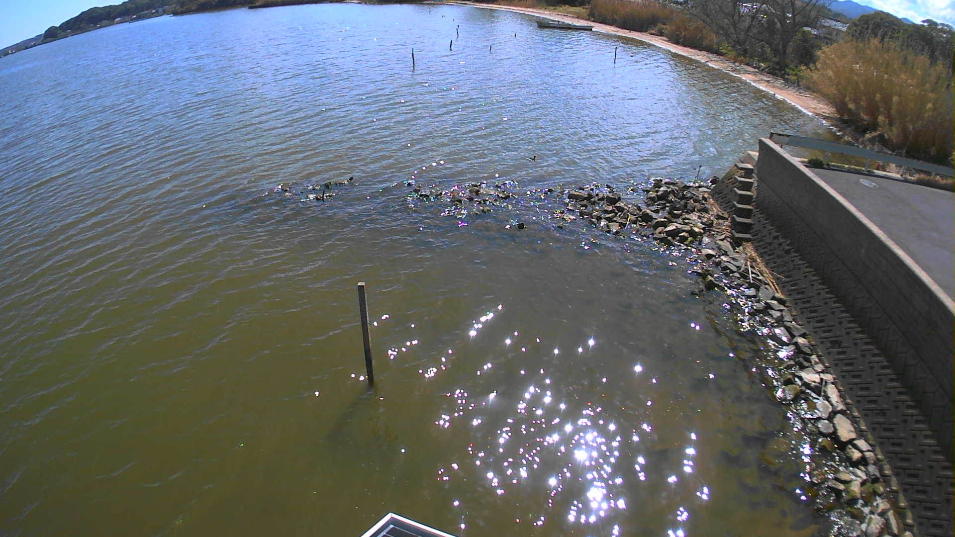 宍道湖 右岸 来待水位観測所13k150のライブカメラ|島根県松江市のサムネイル