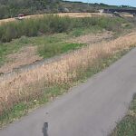 高津川派川 右岸 飯田町1.0kのライブカメラ|島根県益田市のサムネイル