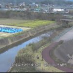 矢落川 左岸0k8大洲市都谷川樋門のライブカメラ|愛媛県大洲市のサムネイル