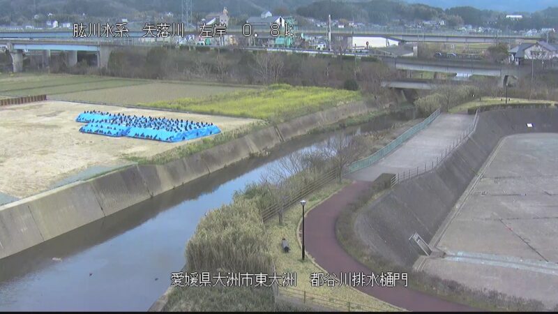 矢落川 左岸0k8大洲市都谷川樋門のライブカメラ|愛媛県大洲市のサムネイル