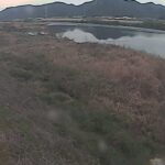 吉井川 左岸 26k800のライブカメラ|岡山県赤磐市のサムネイル