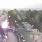 陸奥新報社屋上より弘前公園と岩木山のライブカメラ|青森県弘前市のサムネイル