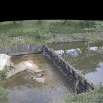 飛鳥川 飛鳥川井堰のライブカメラ|奈良県橿原市のサムネイル