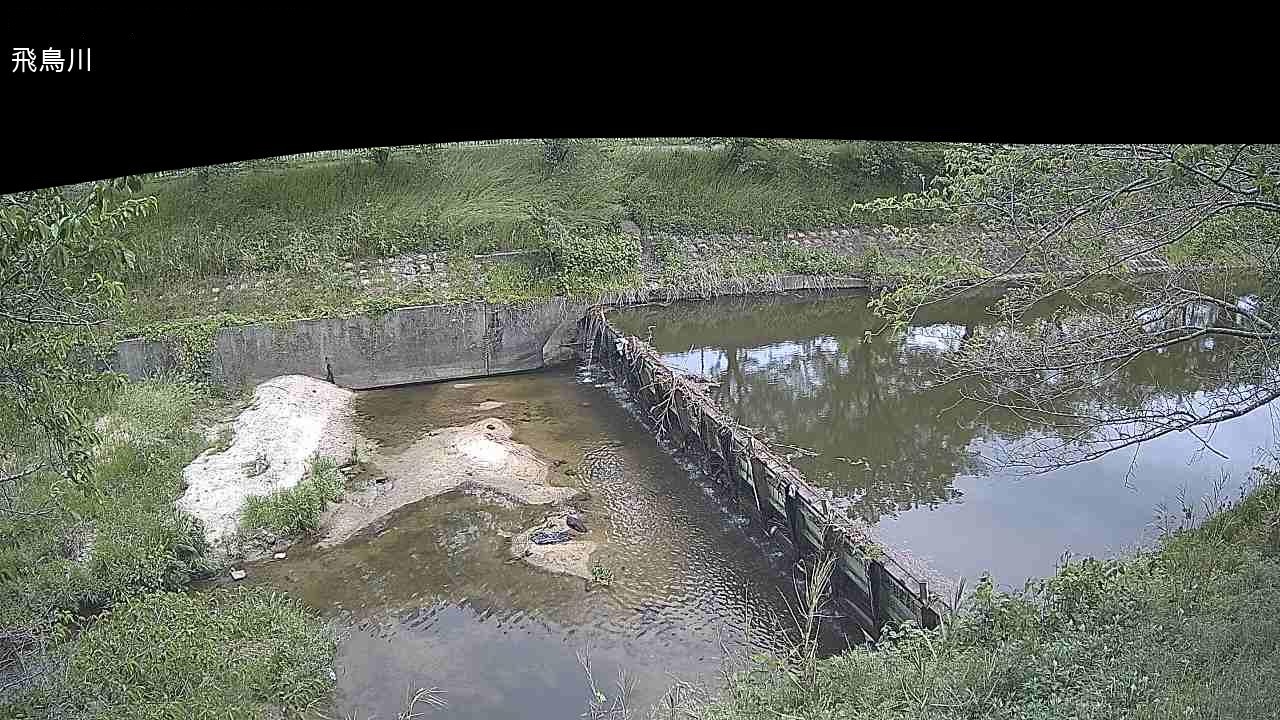 飛鳥川 飛鳥川井堰のライブカメラ|奈良県橿原市のサムネイル