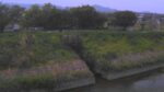 飛鳥川 伴堂のライブカメラ|奈良県三宅町のサムネイル
