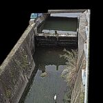 坊城川 土井戸井堰のライブカメラ|奈良県橿原市のサムネイル