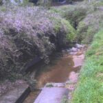 布留川 滝本のライブカメラ|奈良県天理市のサムネイル