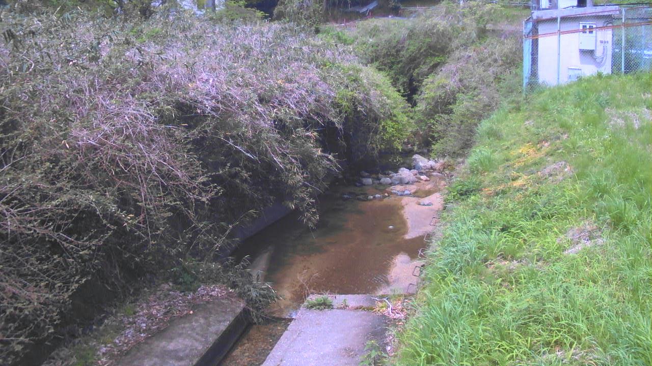 布留川 滝本のライブカメラ|奈良県天理市のサムネイル