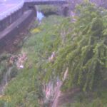 布留川北々流 前栽のライブカメラ|奈良県天理市のサムネイル