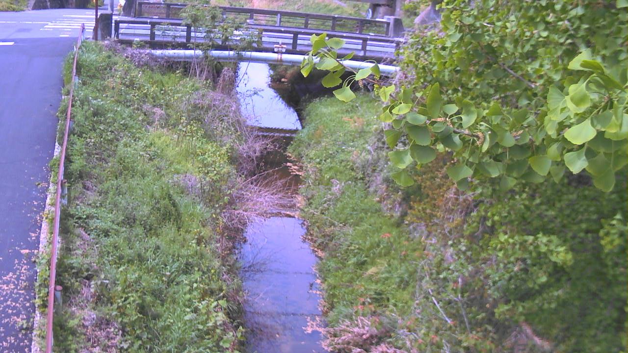 布留川北流 丹波市のライブカメラ|奈良県天理市のサムネイル