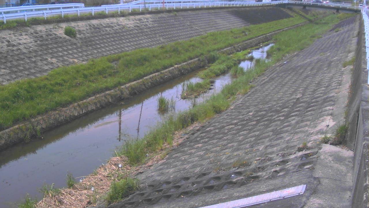 岩井川 八条のライブカメラ|奈良県奈良市のサムネイル