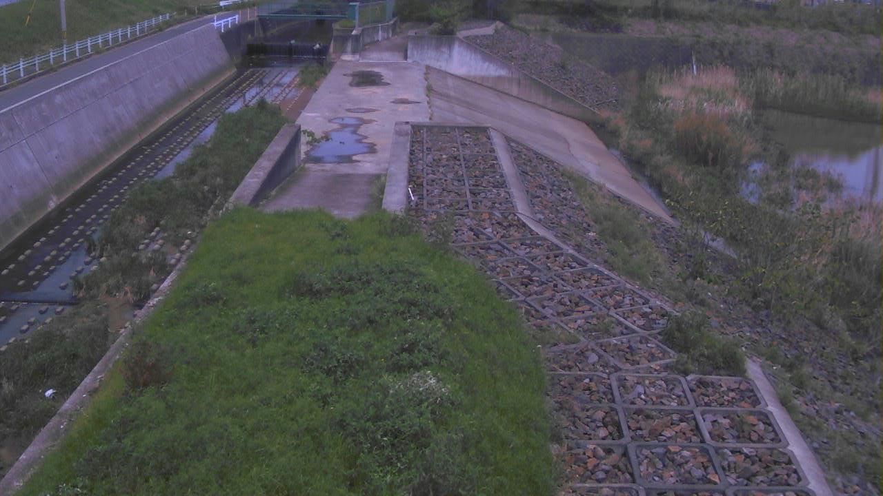 地蔵院川 横井（遊水地）のライブカメラ|奈良県奈良市のサムネイル