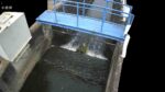 小金打川 小金淵井堰のライブカメラ|奈良県橿原市のサムネイル