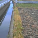 小金打川 松塚（樋門上流）のライブカメラ|奈良県大和高田市のサムネイル