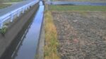 小金打川 松塚（樋門上流）のライブカメラ|奈良県大和高田市のサムネイル