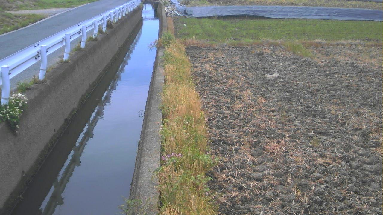 小金打川 松塚（樋門上流）のライブカメラ|奈良県大和高田市のサムネイル