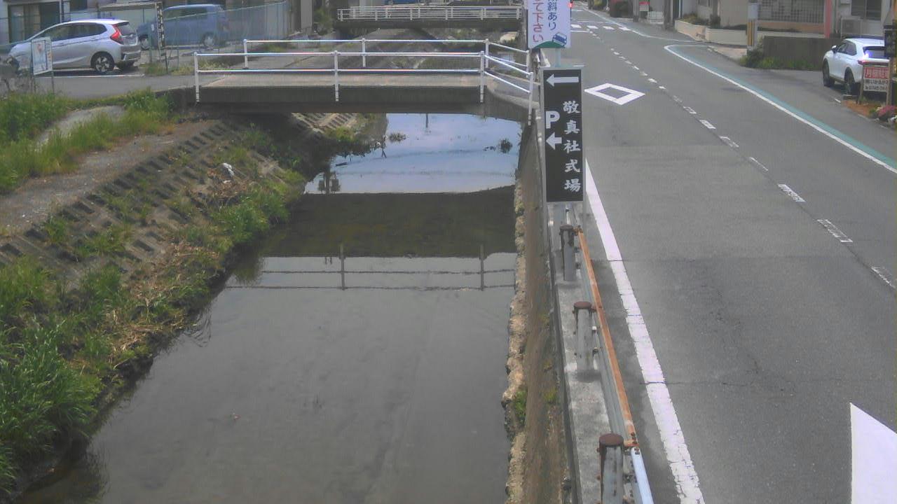 三代川 阿波のライブカメラ|奈良県斑鳩町のサムネイル