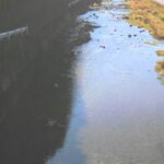 名張川 神末のライブカメラ|奈良県御杖村のサムネイル