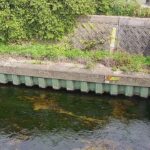 寝屋川 古川導水路のライブカメラ|大阪府寝屋川市のサムネイル