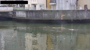 大阪府大阪市 寝屋川 古堤橋のライブカメラ